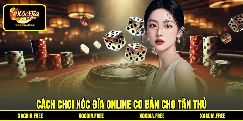 Cách chơi Xóc Đĩa online cơ bản cho tân thủ