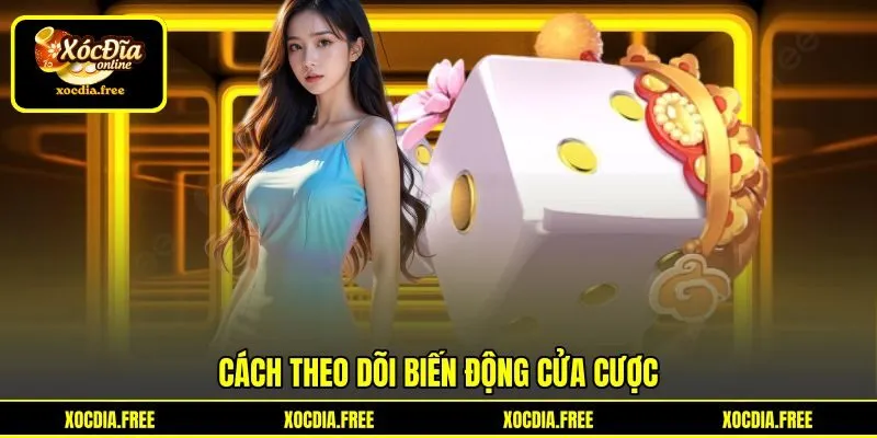 Cách theo dõi biến động cửa cược