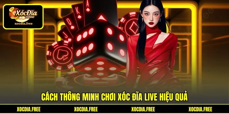 Cách thông minh chơi xóc đĩa live hiệu quả Cách thông minh chơi xóc đĩa live hiệu quả