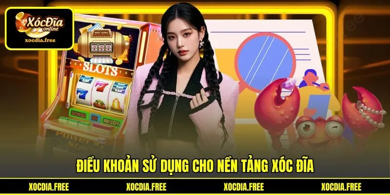 Điều khoản sử dụng cho nền tảng Xóc đĩa Điều khoản sử dụng cho nền tảng Xóc đĩa