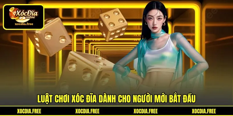 Luật chơi xóc đĩa dành cho người mới bắt đầu