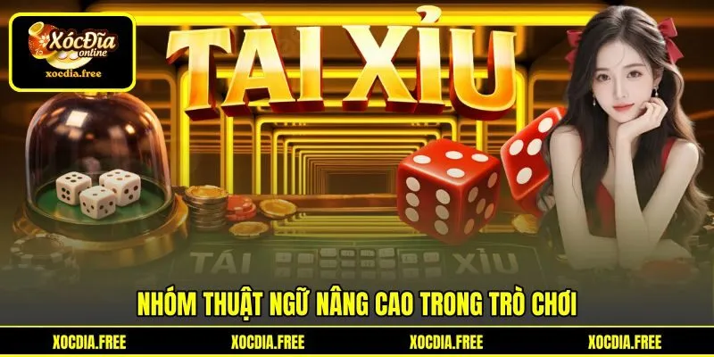 Nhóm thuật ngữ nâng cao trong trò chơi Nhóm thuật ngữ nâng cao trong trò chơi