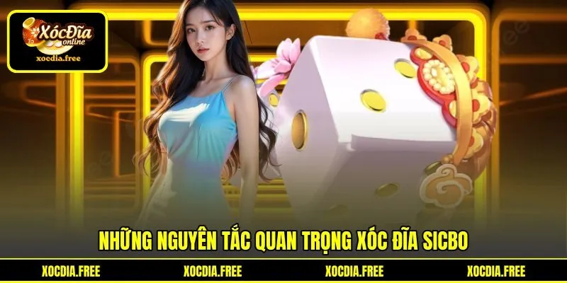 Những nguyên tắc quan trọng xóc đĩa Sicbo Những nguyên tắc quan trọng xóc đĩa Sicbo