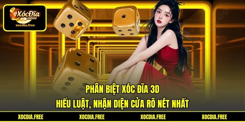 Phân Biệt Xóc Đĩa 3D - Hiểu Luật, Nhận Diện Cửa Rõ Nét Nhất