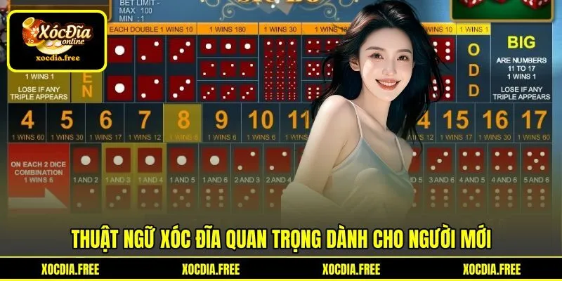 Thuật ngữ xóc đĩa quan trọng dành cho người mới Thuật ngữ xóc đĩa quan trọng dành cho người mới