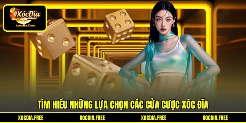 Tìm hiểu những lựa chọn các cửa cược xóc đĩa
